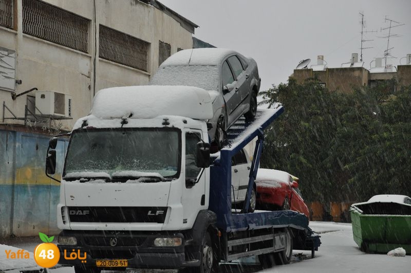 iceman lud 1213 (41).JPG